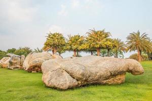 rock and tree landscape photo