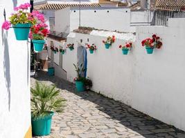 ESTEPONA, ANDALUCIA, SPAIN - MAY 5. Flowers in a street  in Estepona Spain on May 5, 2014