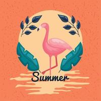 hello summer postcard vector