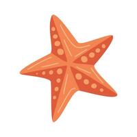 starfish sealife animal vector