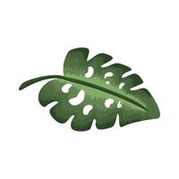 leaf plant with holes vector