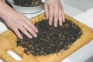 Female hands pour the tea mixture onto a wooden board to dry. The process of making a tea mixture from black tea, lemon and orange peel, pieces of cinnamon sticks. photo