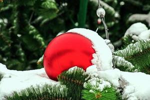 una bola de navidad roja cuelga de una rama cubierta de nieve de un árbol de navidad. año nuevo, tarjeta de felicitación y vacaciones, pancarta. foto