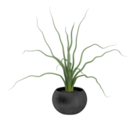 green tropical houseplant in a pot isolated on transparent background png