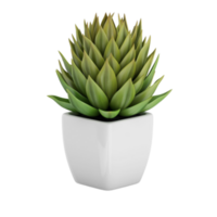 green succulent in a pot isolated on transparent background png