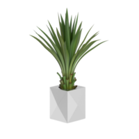 green tropical houseplant in a pot isolated on transparent background png