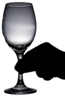 copo de vinho isolado png