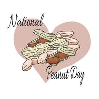 National Peanut Day, idea for a banner or postcard, peanuts in a pod and without vector