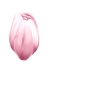 waterverf kers bloesems png