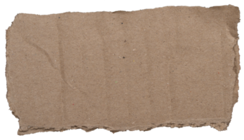 torn kraft paper texture isolated on white background png