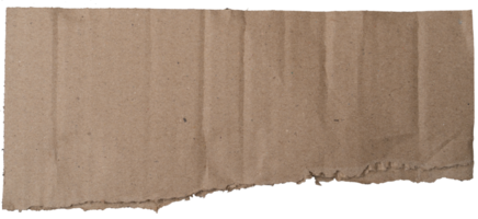 torn kraft paper texture isolated on white background png