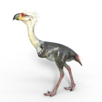 phorusrhacos 3d modell illustrationer png