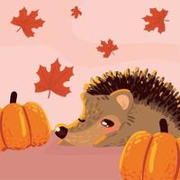 hedgehog autumn pumpkins vector