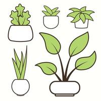 Home plants flat vector collection in white pot