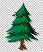 A pine tree on grid background vector