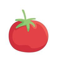 tomato vegetable icon vector