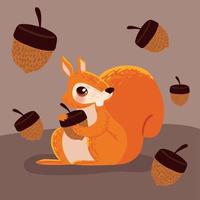 squirrel with acorns vector