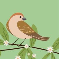 bird on the tree vector