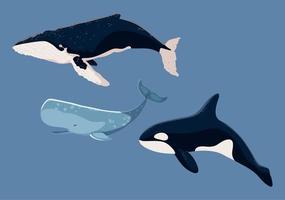 icons whales sea life vector