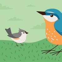 birds in the grass vector