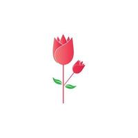 Beauty rose flower vector icon design template