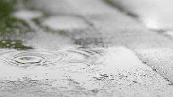 les gouttes de pluie frappent sur le toit, fortes pluies, averses. le toit plat du bâtiment est recouvert d'un matériau imperméable qui protège de la pluie. ruberoïde, toiture enroulée et matériau d'étanchéité. video