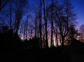 bosque de invierno en la noche foto