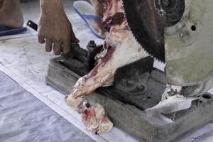 A portrait of Muslims cutting meat on Eid Al Adha by using cutting machine photo