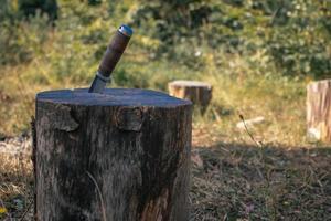 Hunting knife on a wooden surface photo