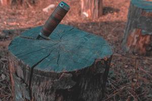 Hunting knife on a wooden surface photo