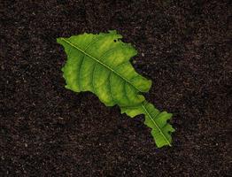 Armenia map made of green leaves on soil background ecology concept photo