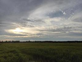 landscape photography in the rice fields of east kalimantan island photo