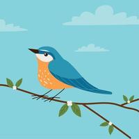 bird on the branch vector