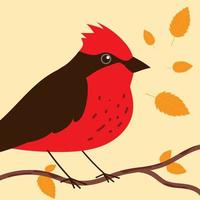 pájaro rojo en rama vector