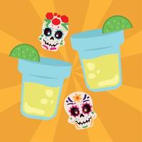 mexico tequila and skulls vector