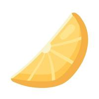 slice orange icon vector