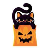 halloween cat on pumpkin vector