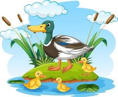 Cartoon wild duck with duckling vector