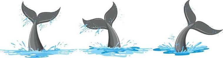 Different tails of whale in the water vector