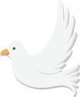 White dove bird isolated vector