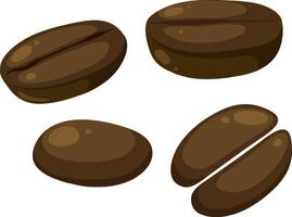 Set of different coffee beans vector