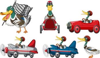 Soap box derby race with duck cartoon character vector