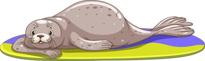 Seal on surfboard on white background vector