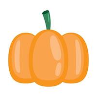 fresh pumpkin vegetable vector