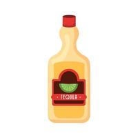 mexican tequila bottle vector