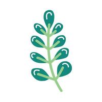 branch with leaves vector