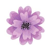 lilac flower spring vector