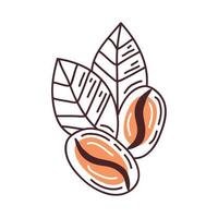 coffee beans and leafs vector