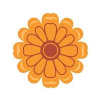 orange sunflower plant vector