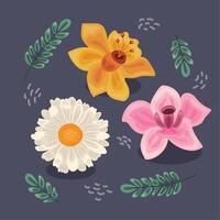 three flowers and leafs vector